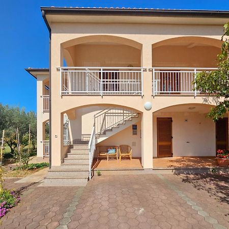 Apartamento Viola Three Novigrad Istria Exterior foto