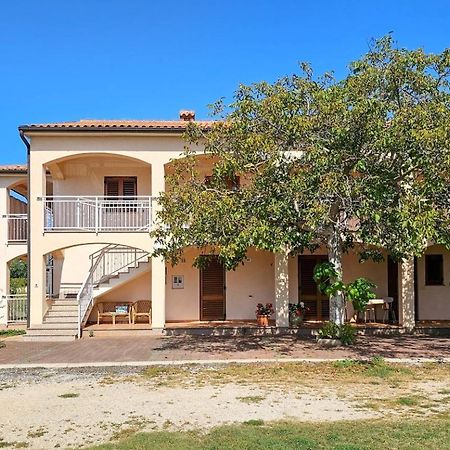 Apartamento Viola Three Novigrad Istria Exterior foto