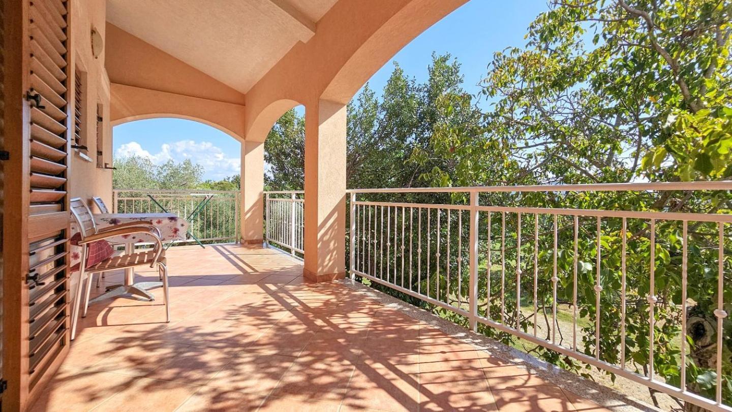 Apartamento Viola Three Novigrad Istria Exterior foto