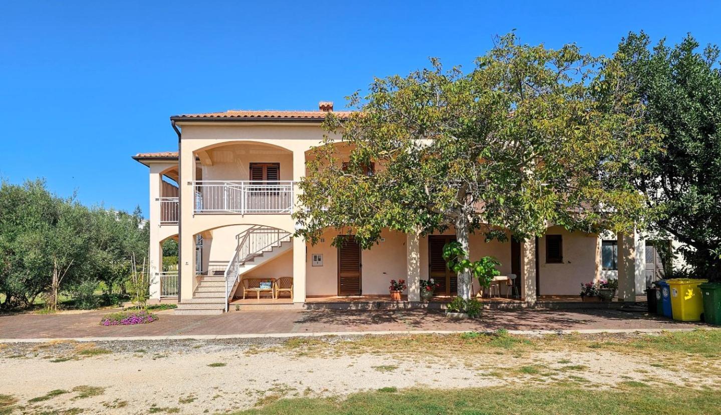 Apartamento Viola Three Novigrad Istria Exterior foto